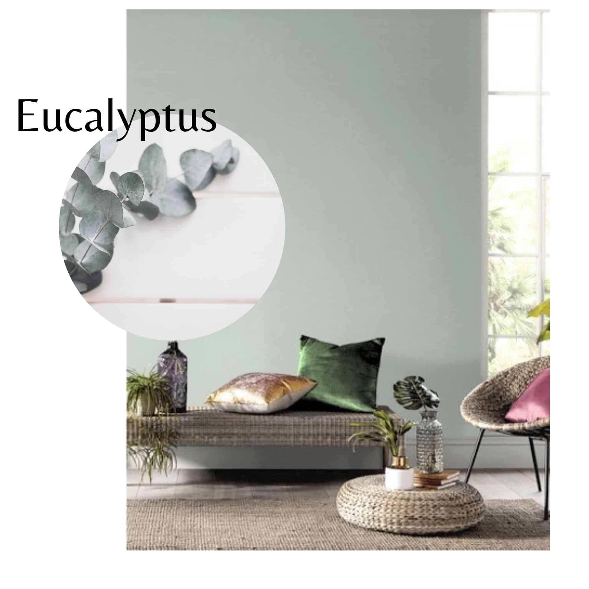wandfarbe eucalyptus